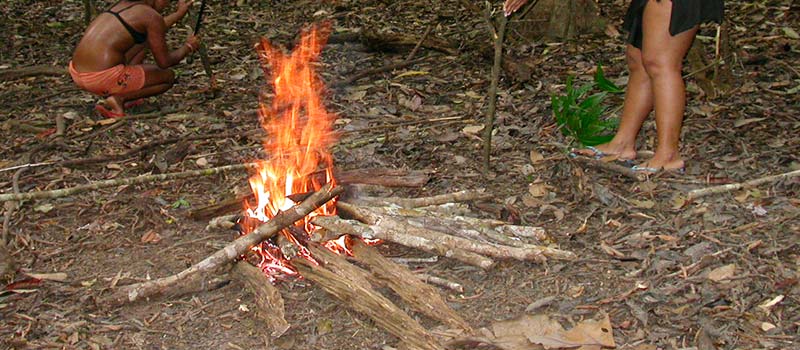 Eindringliches Erlebnis: eine Nacht im Urwald