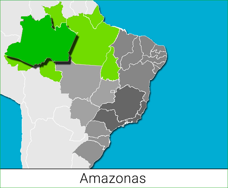 Der Bundesstaat Amazonas