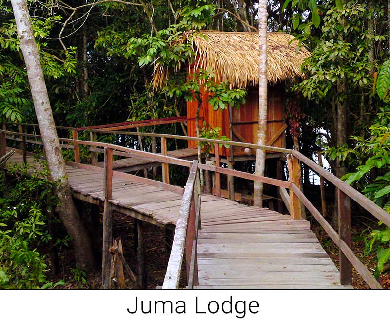 Juma Lodge