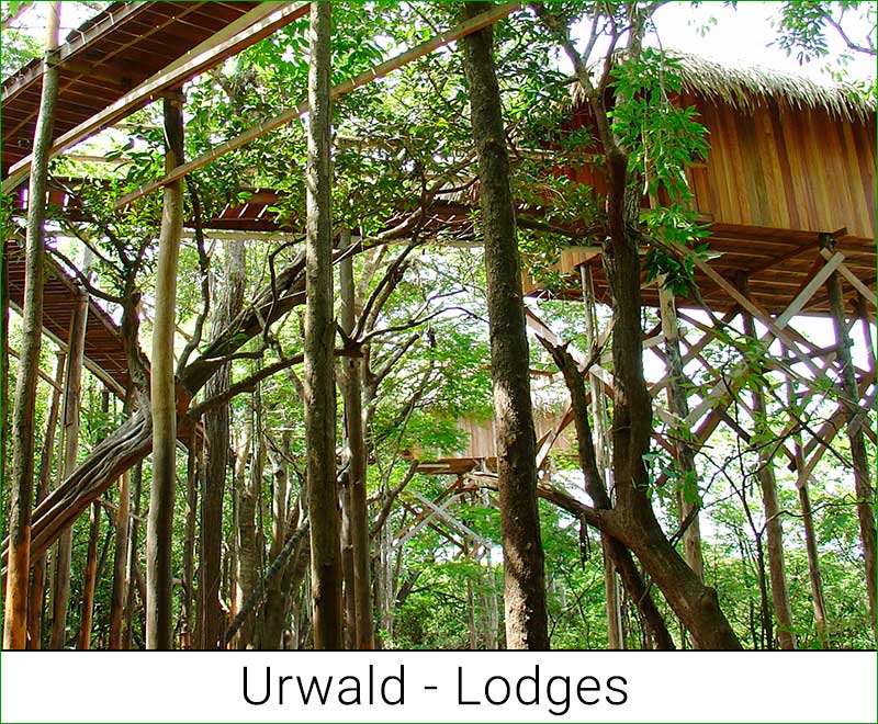Urwald Lodges