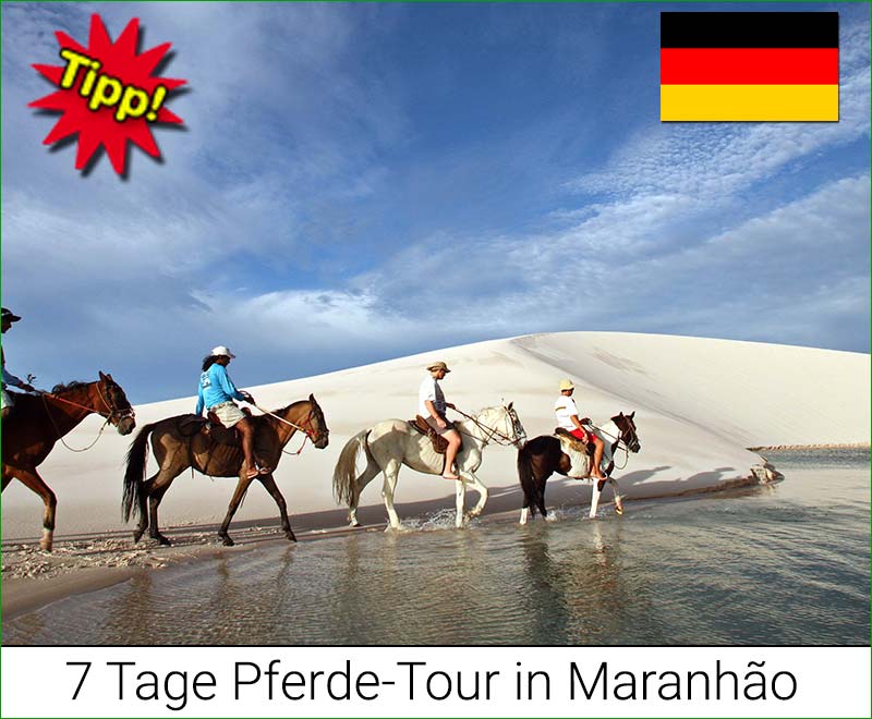 Pferde-Trekking-Tour