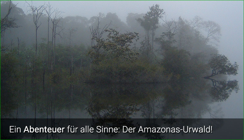 Amazonas-Tour, ein Abenteuer für die Sinne!
