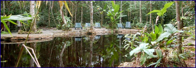 Natürlicher Swimmingpool und kleine Wasserfälle im Wald