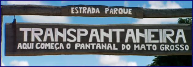 Die Transpantaneira - Eingangstor in das Naturparadies Pantanal